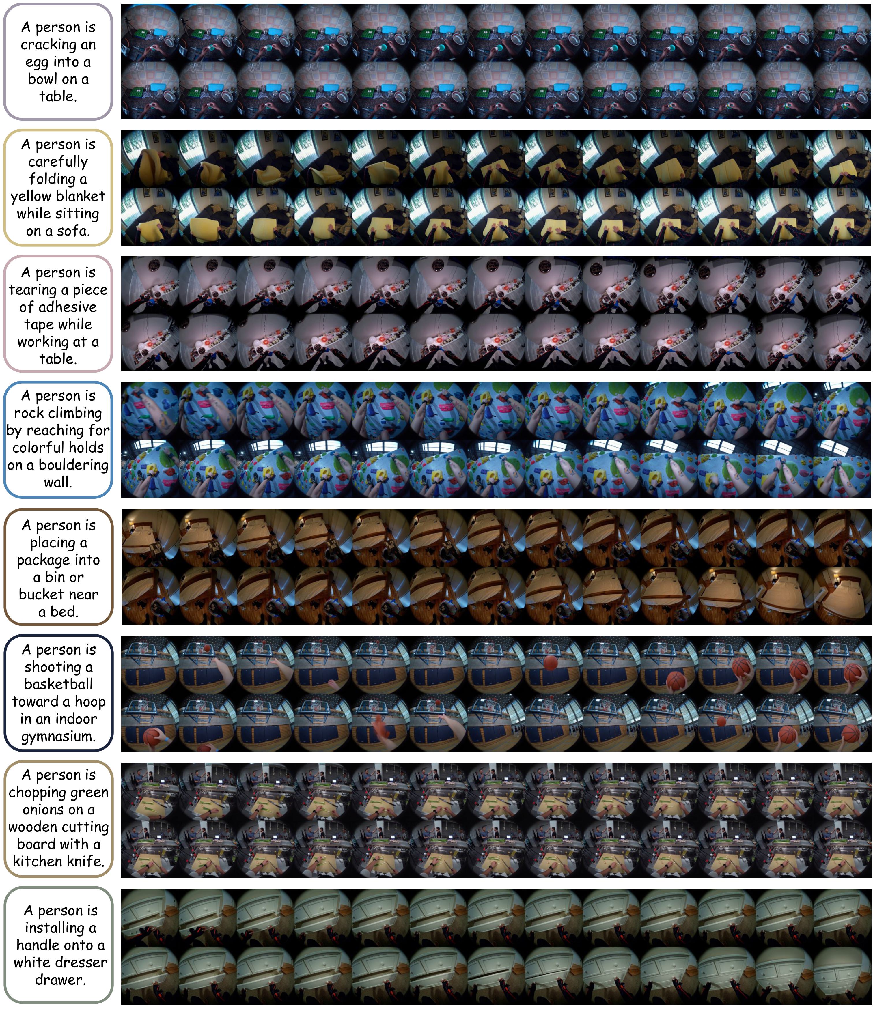 Figure 5: Qualitative egocentric video rollouts.
