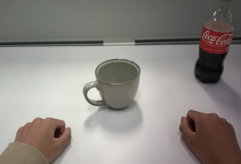 Egocentric input for the pouring a drink example
